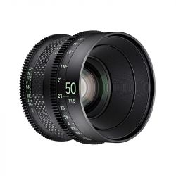 XEEN CF