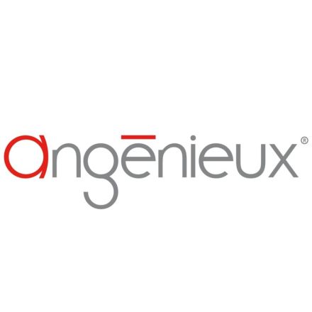 Angenieux E-Mount für EZ-1 und EZ-2 Objektiv