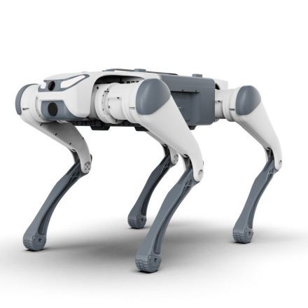 DEEP Robotics SID1 Basic