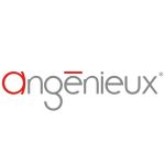 Angenieux PL-Mount für EZ-1 und EZ-2 Objektiv Wechselmount