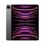Apple iPad Pro 12.9 Wi-Fi spacegrau - 6. Gen. Tablet