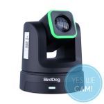 Bird Dog X5 Ultra Black Livestream