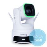 BirdDog X4 Ultra White Livestream