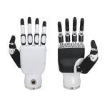 Inspire Robots Dexterous Robotic Hands RH56BFX