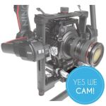 Shape Dovetail for DJI Ronin 2 to ARRI Standard lieferung