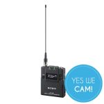 SONY DWT-B30/L Audioübertragung