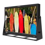 TVLogic LVM-242S HDMI