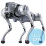 Unitree Go2 EDU PLUS 2D LIDAR - Yes We Cam - TONEART-Shop
