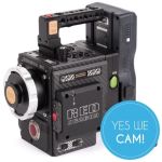 Wooden Camera Trigger Handle (RED Weapon/Scarlet-W/Raven) Halt
