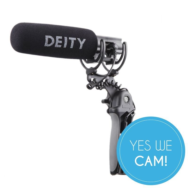 Aputure Deity V-Mic D3 Pro Location Kit Kit