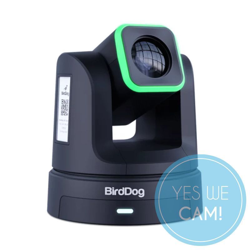 Bird Dog X5 Ultra Black Livestream