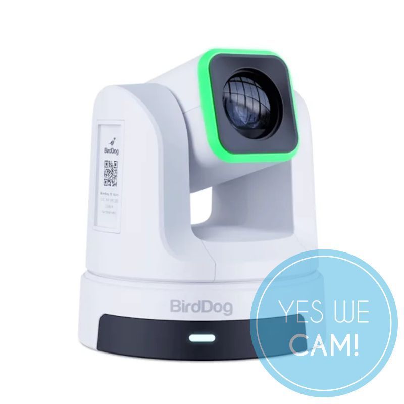 Bird Dog X5 Ultra White Livestream