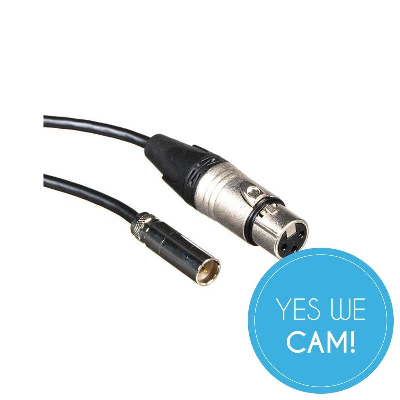 Blackmagic Design MiniXLR-Adapterkabel (2er Set) für Video Assist 4K Lieferung