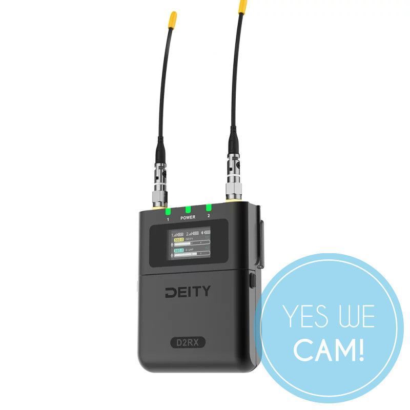 THEOS D2RX Dual-Channel Wireless